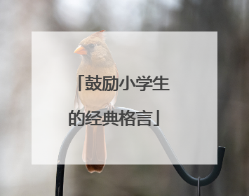 鼓励小学生的经典格言