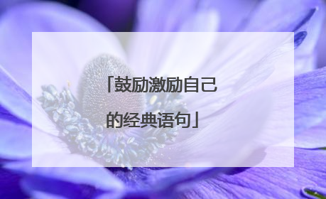 鼓励激励自己的经典语句