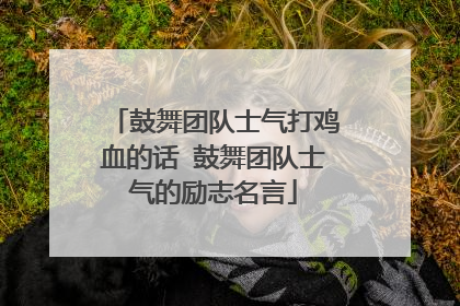 鼓舞团队士气打鸡血的话 鼓舞团队士气的励志名言