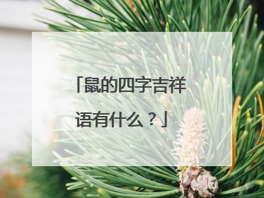 鼠的四字吉祥语有什么？