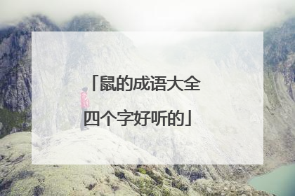 鼠的成语大全四个字好听的