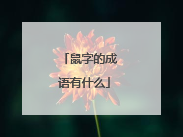 鼠字的成语有什么