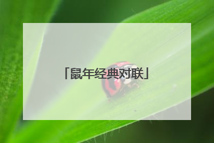 鼠年经典对联