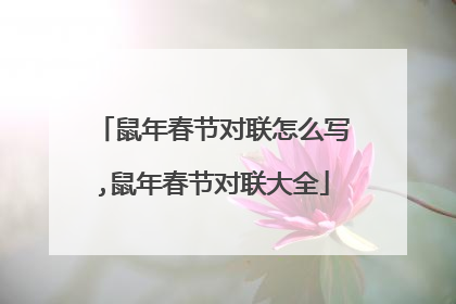 鼠年春节对联怎么写,鼠年春节对联大全