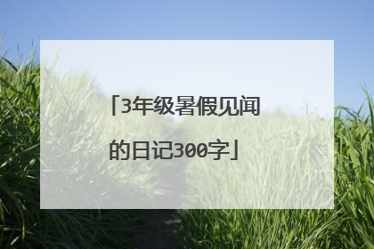 3年级暑假见闻的日记300字