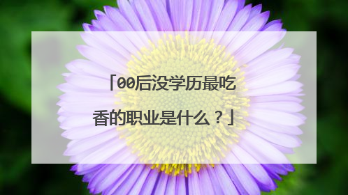 00后没学历最吃香的职业是什么?