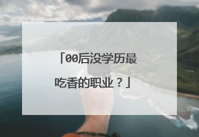 00后没学历最吃香的职业?