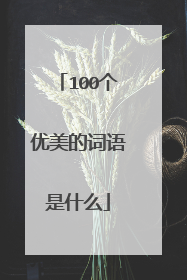 100个优美的词语是什么