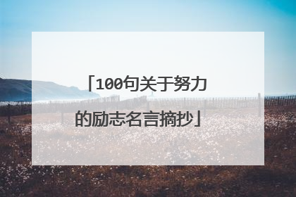 100句关于努力的励志名言摘抄