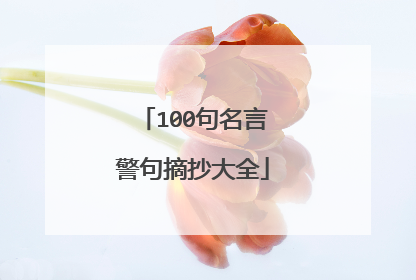 100句名言警句摘抄大全