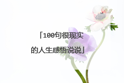 100句很現實的人生感悟說說