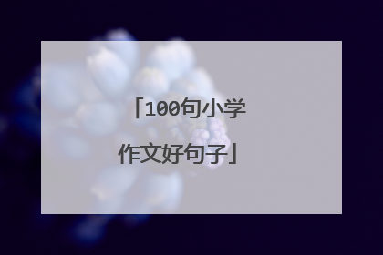 100句小学作文好句子