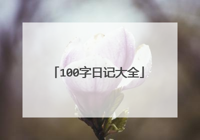100字日记大全