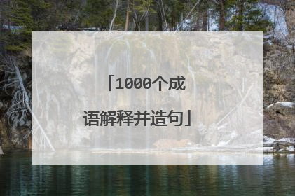 1000个成语解释并造句