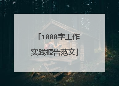 1000字工作实践报告范文