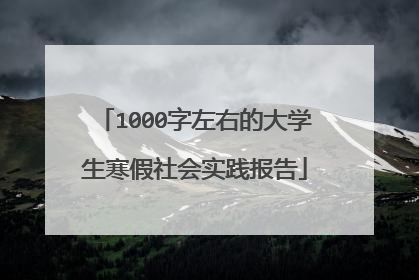 1000字左右的大学生寒假社会实践报告