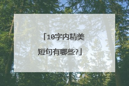 10字内精美短句有哪些?