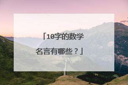 10字的数学名言有哪些？