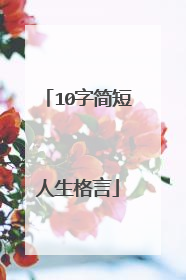 10字简短人生格言