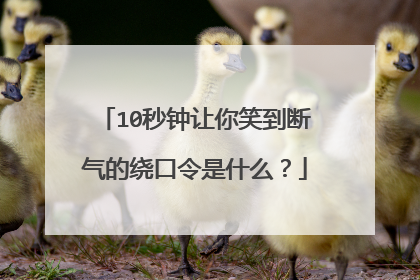 10秒钟让你笑到断气的绕口令是什么？