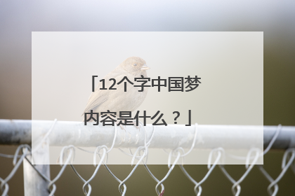 12个字中国梦内容是什么？