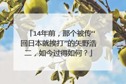 14年前，那个被传“回日本就挨打”的矢野浩二，如今过得如何？
