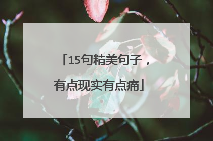 15句精美句子,有点现实有点痛
