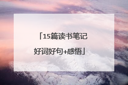 15篇读书笔记好词好句+感悟