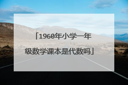 1960年小学一年级数学课本是代数吗