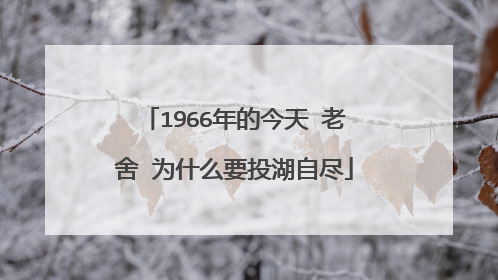 1966年的今天 老舍 为什么要投湖自尽