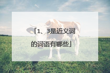 1、3是近义词的词语有哪些