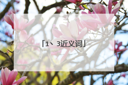 1丶3近义词