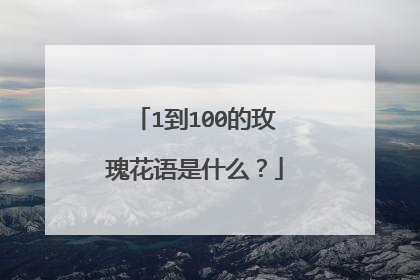 1到100的玫瑰花语是什么？