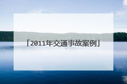 2011年交通事故案例