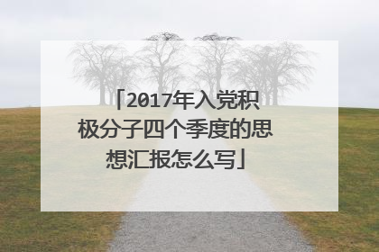 2017年入党积极分子四个季度的思想汇报怎么写