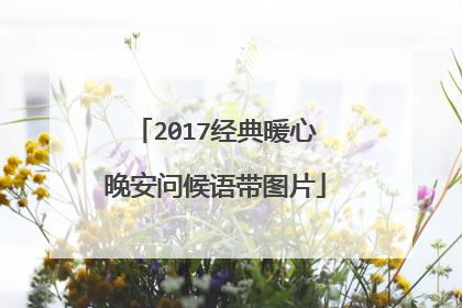 2017经典暖心晚安问候语带图片