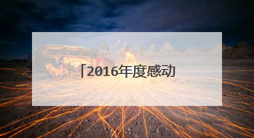 2016年度感动中国十大人物有谁