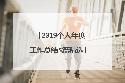 2019个人年度工作总结5篇精选