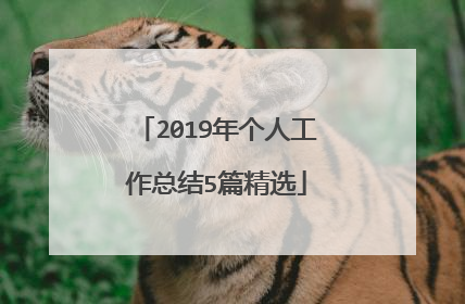 2019年个人工作总结5篇精选