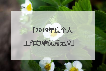 2019年度个人工作总结优秀范文