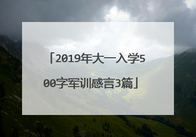 2019年大一入学500字军训感言3篇