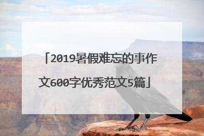 2019暑假难忘的事作文600字优秀范文5篇