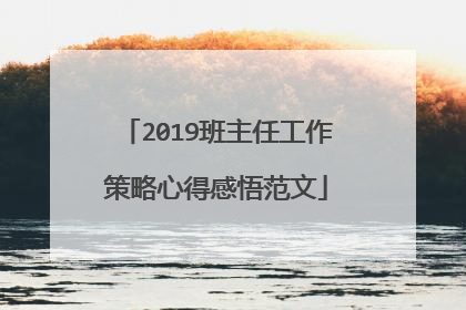 2019班主任工作策略心得感悟范文