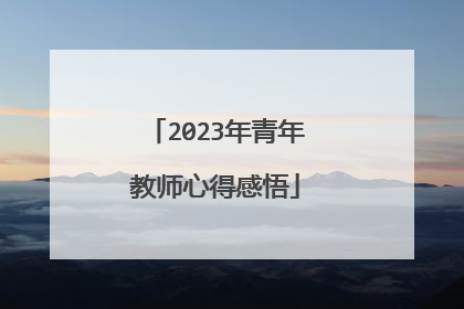 2023年青年教师心得感悟