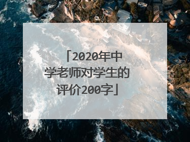 2020年中学老师对学生的评价200字