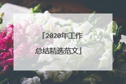 2020年工作总结精选范文