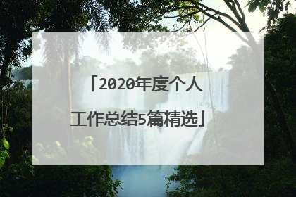 2020年度个人工作总结5篇精选