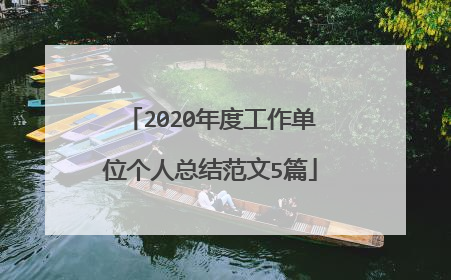 2020年度工作单位个人总结范文5篇