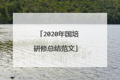 2020年国培研修总结范文