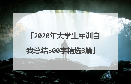 2020年大学生军训自我总结500字精选3篇